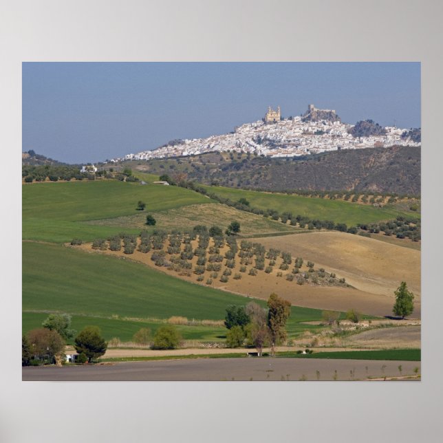 Póster Olvera, Andalucía, España (Frente)