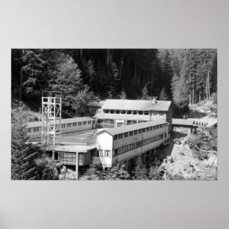 Póster Olympic Hot Springs, WA Lodge View Photograph #1