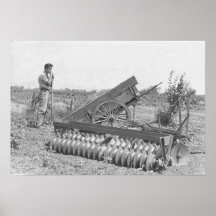 Póster On the farm in the 1940's