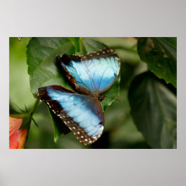 Póster On the Green