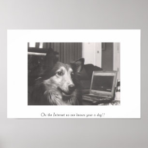 Póster On the Internet no one knows your a dog!!