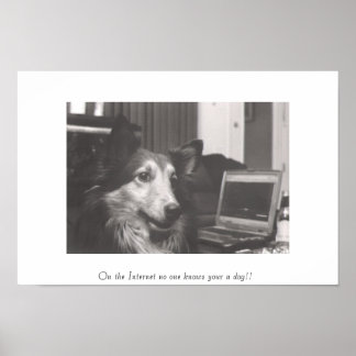 Póster On the Internet no one knows your a dog!!