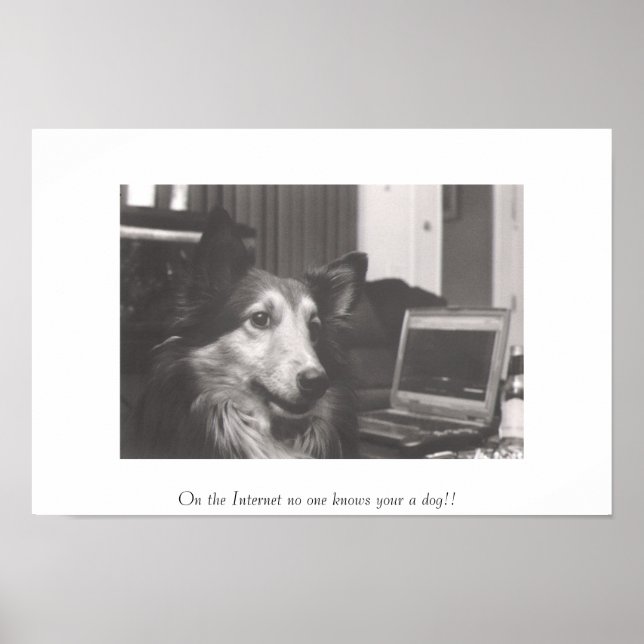 Póster On the Internet no one knows your a dog!! (Frente)