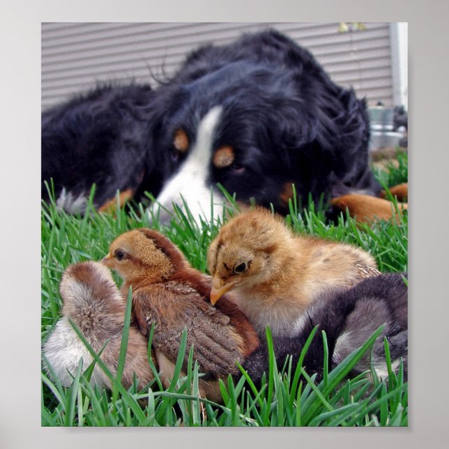 Póster On the Job (Frente)