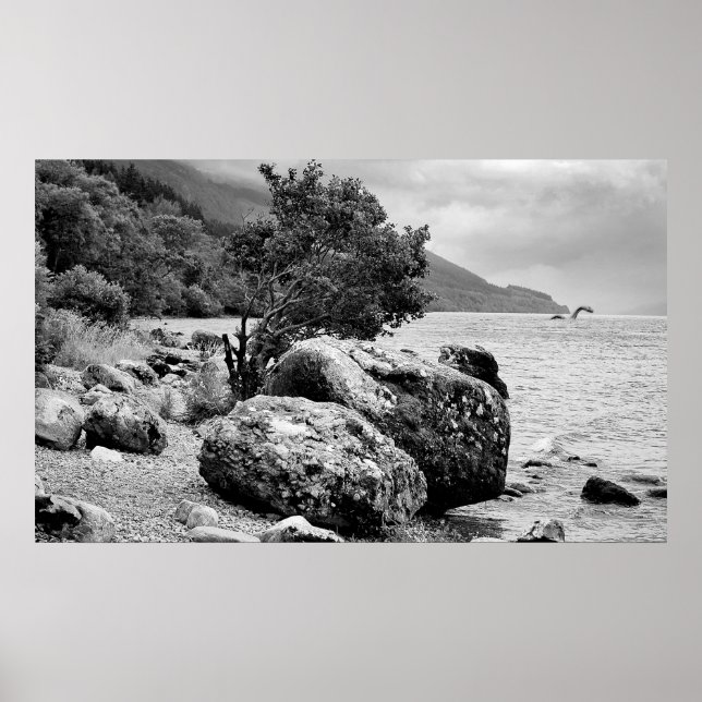 Póster On the shores of Loch Ness with the monster (Frente)