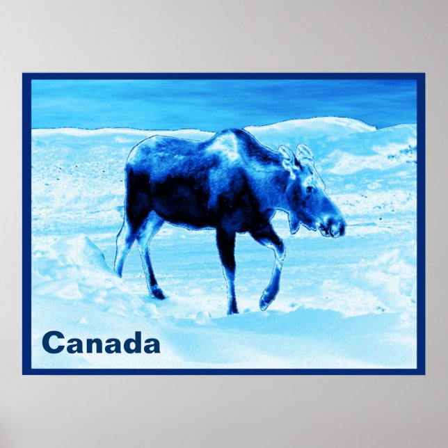 Póster Once In A Blue Moose (Frente)