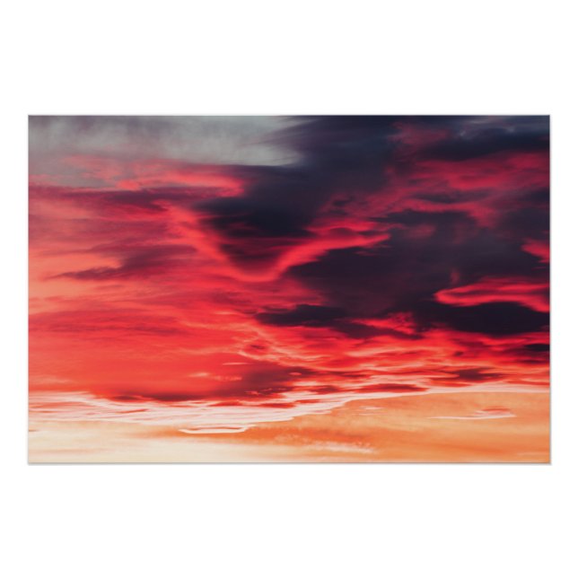 Póster onda felina (Anverso)