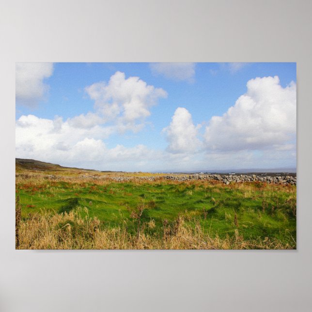 Póster Ondas Grassy (Frente)