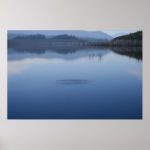 Póster Ondulación en el agua inmóvil - poster