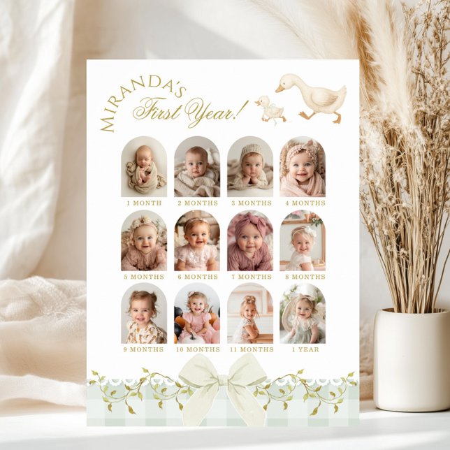 Póster One Silly Goose Sage 1st Birthday Photo Milestone (Subido por el creador)