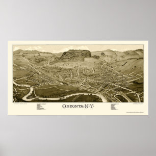 Póster Oneonta, Mapa Panorámico NY - 1884