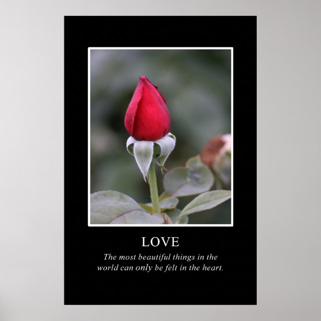 Póster Only the heart knows true beauty (Frente)