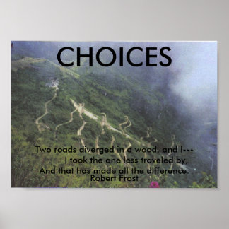PÓSTER OPCIONES