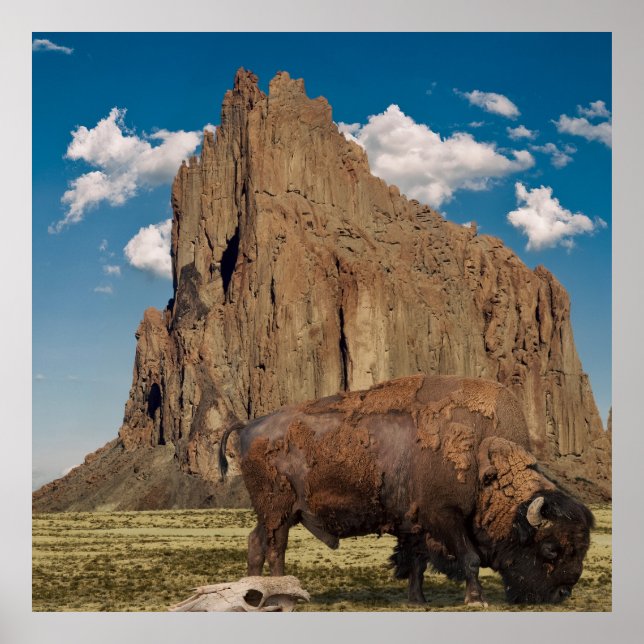 Póster Open Country (Frente)