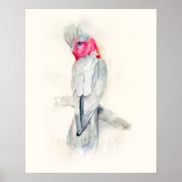 Opera acuarela Cockatoo