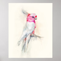 Ópera Cockatoo