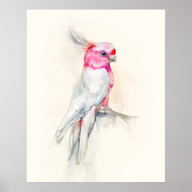 Póster Ópera Cockatoo (Frente)