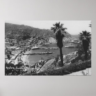 Póster Opinión de Avalon, isla de CA Santa Catalina del