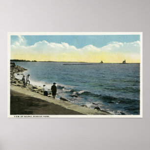 Póster Opinión de parque de playa del sonido