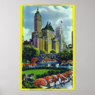 Póster Opinión del Central Park de NYC de los 5tos