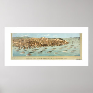 Póster opinión del Pájaro-ojo de la flota en San