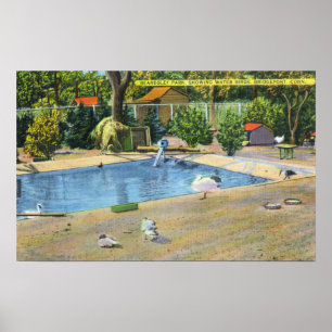 Póster Opinión del parque de Beardsley de Waterbirds