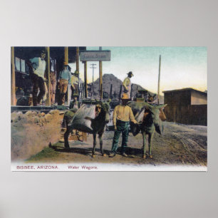 Póster Opinión los burros que llevan WaterBisbee, AZ
