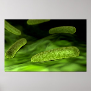 Póster Opinión microscópica las bacterias 1