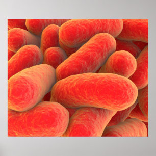 Póster Opinión microscópica las bacterias 4