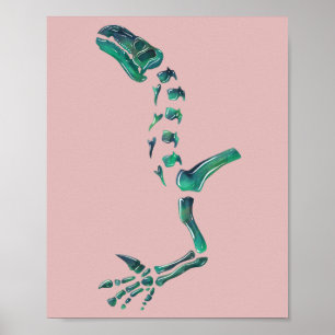 Póster Óptico Iguanodon Dinosaurio