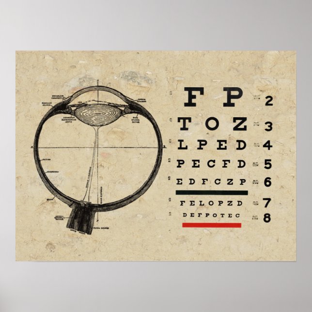 Póster Óptimo Poster Ophthalmólogo (Frente)