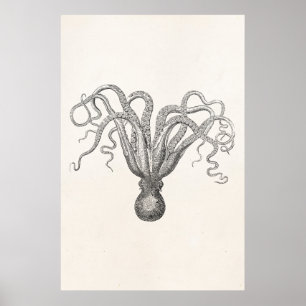 Póster Opulpo Vintage Poulpe Ocho Pescado De Corteza Arma
