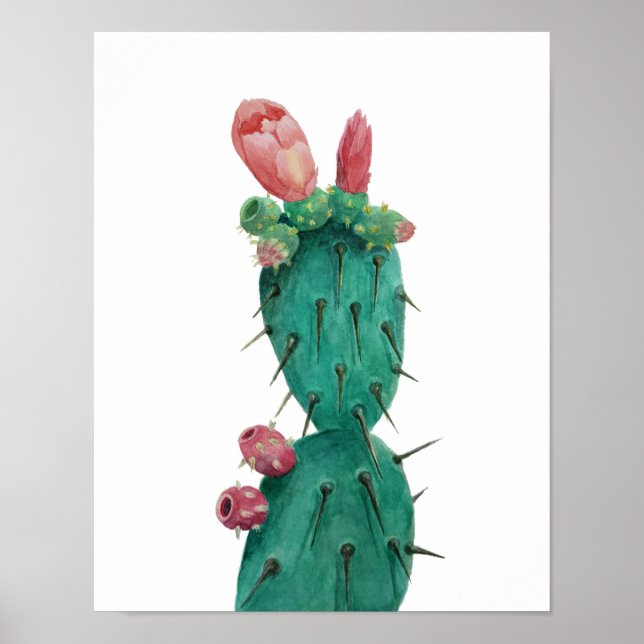 Póster Opuntia en acuarelas (Frente)