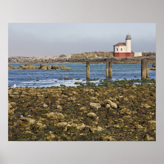 Póster OR, Costa de Oregón, Bandon, río Coquille (Frente)