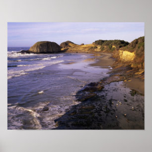 Póster OR, Costa de Oregón, Newport, costa en Seal