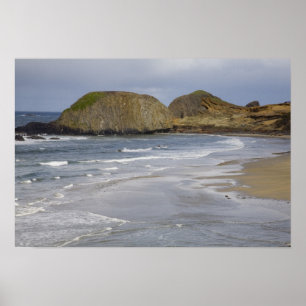 Póster OR, Costa de Oregón, Parque Estatal Seal Rock,