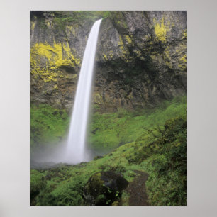 Póster OR, desfiladero del río Columbia, cascadas de Elow