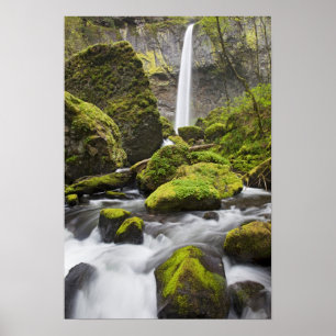 Póster OR, desfiladero del río Columbia, cascadas de Elow