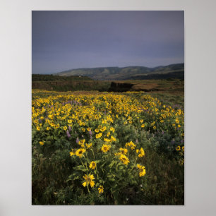 Póster OR, desfiladero del río Columbia, meseta de Rowena