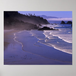 Póster OR, Oregon Coast, Ecola SP, Indian Beach with