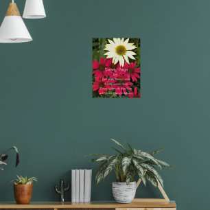Póster Oración de Serenity Coneflowers Fotografía Floral