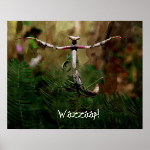 Póster ¡Orando a Mantis Wazzaap!