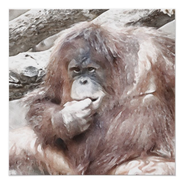 Póster Orang 2 acuarela (Anverso)