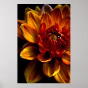 Póster Orange Bloom