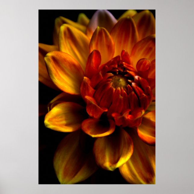 Póster Orange Bloom (Frente)