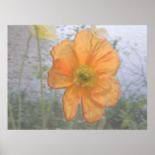 Póster Orange Essence