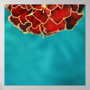 Póster Orange Marigold Flower Petal Macro Abstract