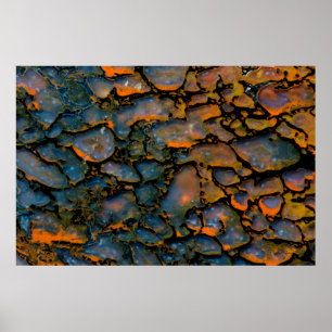 Póster Orange Petrified dinosaur bone