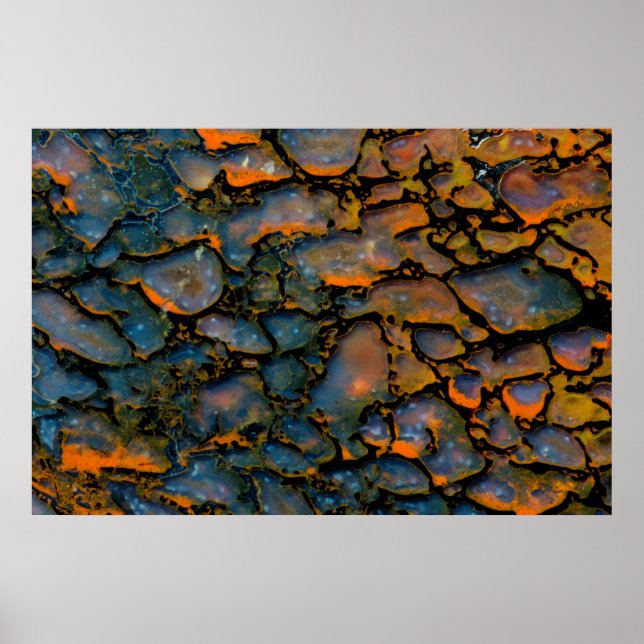 Póster Orange Petrified dinosaur bone (Frente)