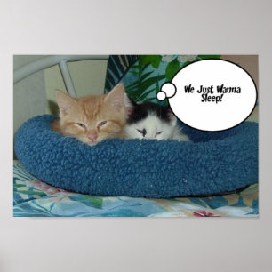Póster Orange Tabby Cat Humor